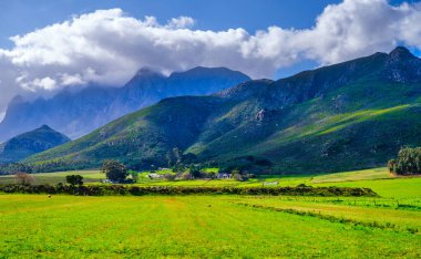 Birçok çiftlik evi, bereketli Breedekloof Vadisi, Batı Burnu, Güney Afrika 'daki görkemli Waaihoek Dağı eteklerine saçılmıştır.