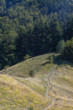 İtalya 'nın Parma eyaletindeki Toscano Emiliano Parkı' ndaki Cirone Geçidi 'nin dağ manzarası. Yüksek kalite fotoğraf