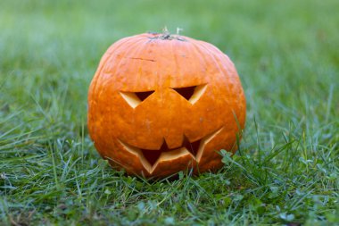 Cadılar bayramı çimleri kabartıyor. Yüksek kalite fotoğraf