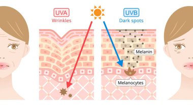 uva ve uvb kadın yüzünün derisine nüfuz eder. güzellik ve sağlık hizmeti kavramı
