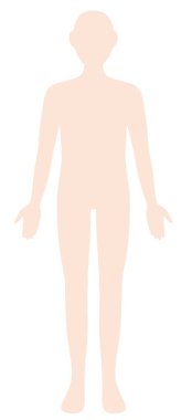 Cinsiyet açısından nötr insan vücudu, ön görüş çizimi. Sağlık ve tıbbi bakım kavramı