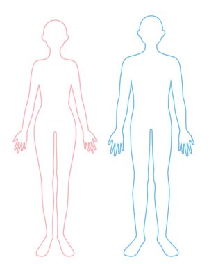 Genç yetişkin erkek ve kadın tam vücut hatları çizimi. Güzellik ve sağlık hizmetleri kavramı