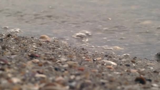 Riva Del Fiume Roccioso Con Piccole Rocce Sulla Sabbia Vicino — Video Stock