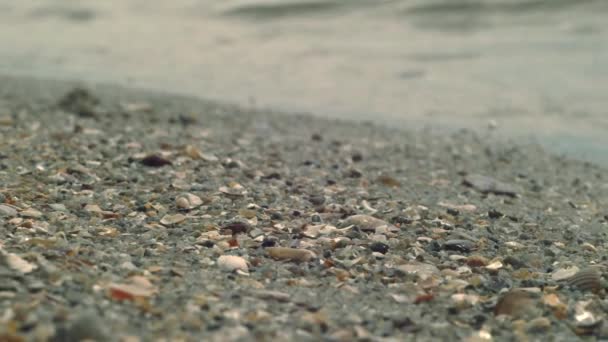 砂の上に小さな岩があるロッキー川の銀行は波がそれを走っているで閉じます 美しい海の波 砂と素晴らしい川 水の質感 静かな 瞑想の背景 最上階だ 自然背景 — ストック動画