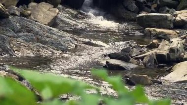 Doğal arka plan. Vahşi dağ nehri taş kayaların arasından akıyor. Karpatlar 'da bol miktarda temiz dere var. Su arka planı konsepti. Huzurlu bir ortam
