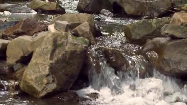 Natural Background Wild Mountain River Flowing Stone Boulders Abundant Clear — Stock Video