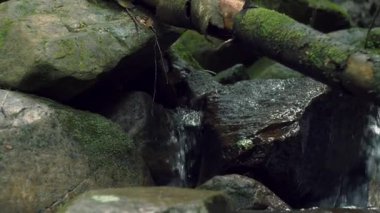 Doğal arka plan. Vahşi dağ nehri taş kayaların arasından akıyor. Karpatlar 'da bol miktarda temiz dere var. Su arka planı konsepti. Huzurlu bir ortam