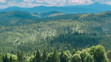 Dağ sırtlarına bak. Karpat Dağları, Ukrayna, Avrupa. Muhteşem bir manzara. Güzellik Dünyası 4K görüntüleri
