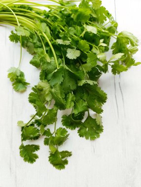 kişniş yeşili demet taze bitki