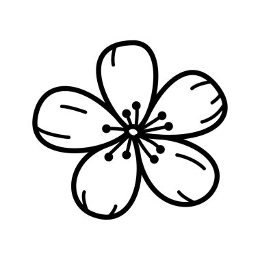 El çizimi çiçek. Çizgi sanatı botanik çiçek tasarımı öğesi tebrik kartı, düğün davetiyesi ve dövme için. Tek renkli vektör illüstrasyonu.