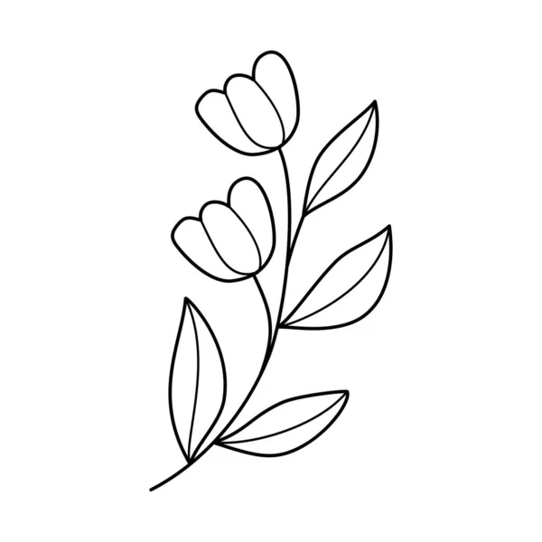 有叶子和花朵的涂鸦线艺术分支 手绘枝条植物 单色线形花园花卉元素 古色古香的植物学自然图解 — 图库矢量图片