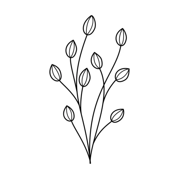 杜德尔线艺术分支与叶子 手绘枝条植物 单色线形花园花卉元素 古色古香的植物学自然图解 — 图库矢量图片