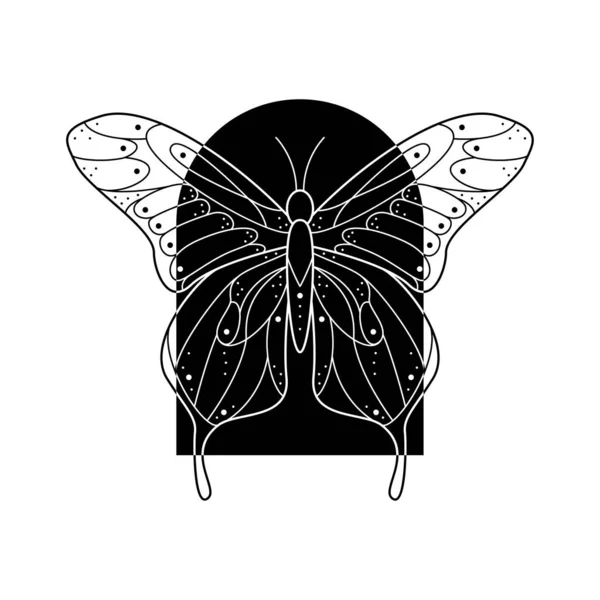 Papillon Stylisé Noir Blanc Forme Arche Illustration Vectorielle Décorée Lignes — Image vectorielle