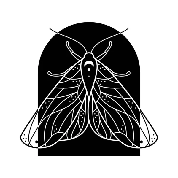 Moth Nocturne Lune Noir Blanc Stylisé Forme Arche Illustration Vectorielle — Image vectorielle