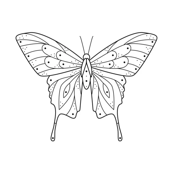 Stylized Black Line Art Butterfly Hand Drawn Linear Ornated Vector Stock Illustration