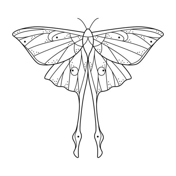 神聖なラインアート幾何学的なルナ蛾 抽象的な神秘的な幾何学蝶 ベクトルイラスト タトゥー ブックカバー Tシャツプリント ポスターやカードのための自然なデザイン — ストックベクタ