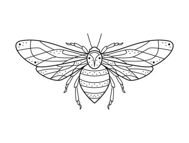 Tarz sahibi siyah beyaz arı. El çizimi sanat süslenmiş vektör çizimi. Dövme veya Makhenda için doğal tasarım, kitap kapağı, tişört baskısı, poster veya kart.