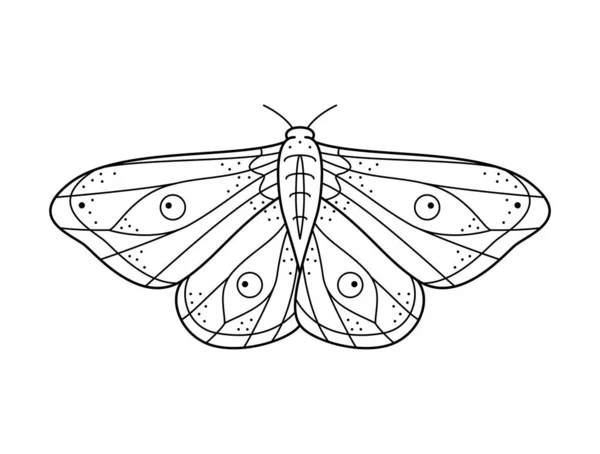 Stiliserade Svartvita Nattfjärilar Handritad Linje Konst Utsmyckad Vektor Illustration Naturlig — Stock vektor