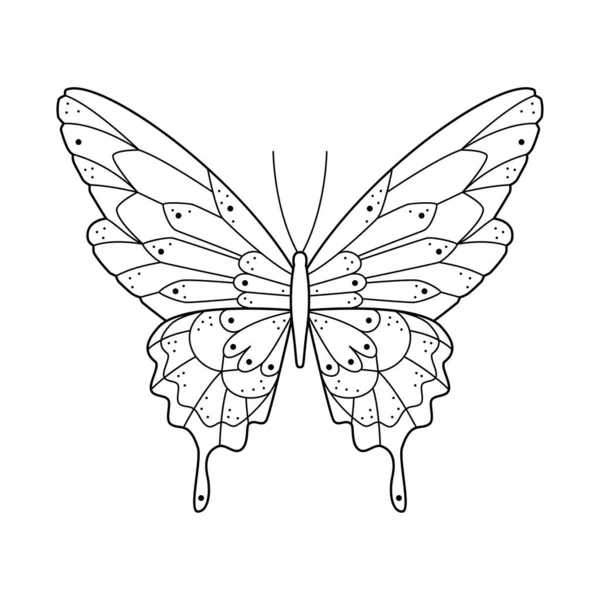 Papillon Art Ligne Noire Stylisé Illustration Vectorielle Décorée Linéaire Dessinée — Image vectorielle