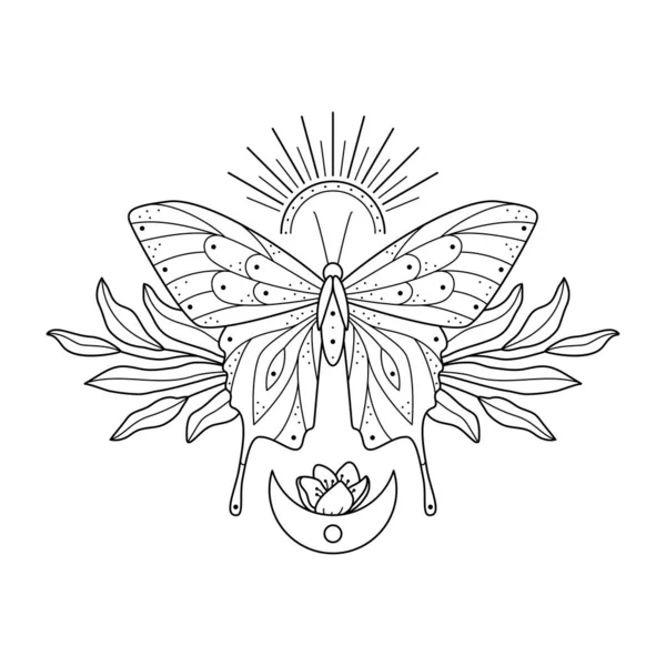 Gestileerde Hemelse Illustratie Van Vlinder Bloemen Lijnvlinder Met Bladeren Zon — Stockvector