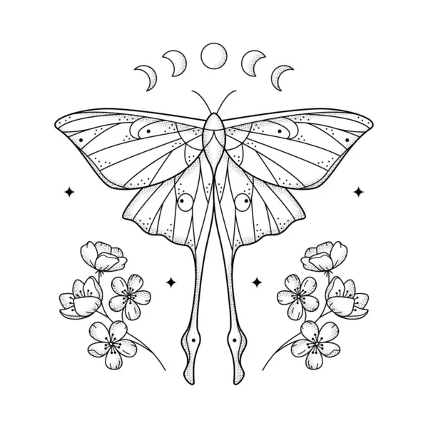 Celestial Line Art Grainy Geometric Luna Moth Fases Lua Flores — Vetor de Stock