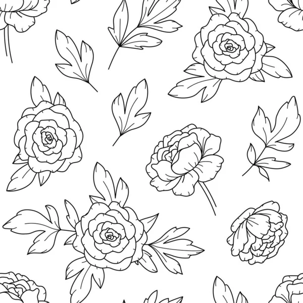 Peony Flower Seamless Pattern Drawing Vector Hand Drawn Engraved Garden — Stock Vector
