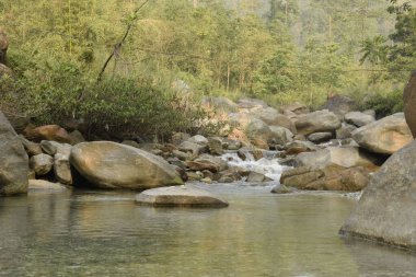Jhalong nehrinin içinde küçük bir su havuzu var. Ormanın içinde akıntı var. Kalimpong, Batı Bengal, Hindistan.
