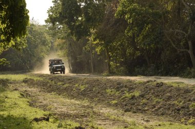 Kohra Range, Kaziranga Ulusal Parkı, Assam, Hindistan - 11 Nisan 2023: Turist safari aracı kaldırımsız yol boyunca ilerleyerek rezerv ormanı içindeki toz bulutunu kaldırıyor.