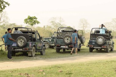 Kohra Range, Kaziranga Ulusal Parkı, Assam, Hindistan - 11 Nisan 2023: Park içindeki durak noktasında toplanan orman safari araçları