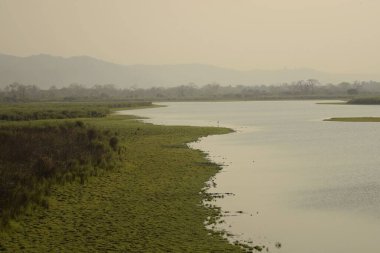 Kaziranga Ulusal Parkı, Assam, Hindistan 'da çalılıklarla ve sisli dağlarla kaplı geniş bir su kütlesi.