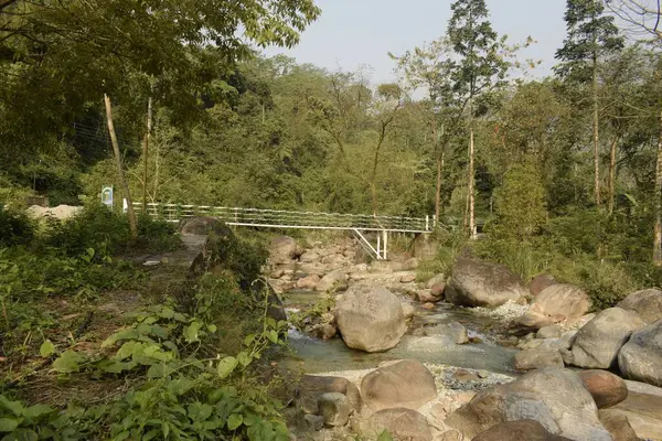 Pont Intérieur Forêt Traversant Rivière Avec Forêt Environnante Jhalong Ouest — Photo