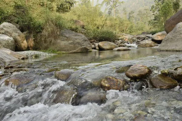 Snabb Strömmande Jhalong Flodforsar Genom Skogen Västra Bengalen India — Stockfoto