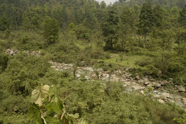 Vista Del Fiume Jhalong Che Scorre Sotto Attraverso Giungla Bengala — Foto Stock