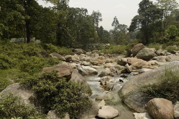 Rapide Del Fiume Jhalong Che Scorrono Attraverso Foresta Circostante Bengala — Foto Stock