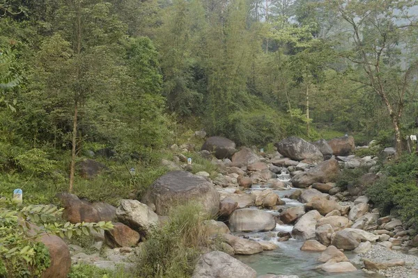 Rápidos Rápidos Fluyendo Río Jhalong Través Selva Oeste Bengala —  Fotos de Stock