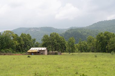 netarhat, jharkhand, Hindistan - 15 Temmuz 2024: sakin bir orman vadisi tepe aralığı arka planı ile