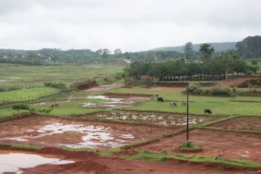 Bereketli tarım arazileri bulutlu gökyüzü ile ufka dokunuyor.