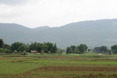 Sisli dağ geçmişine sahip kırsal tarım arazileri