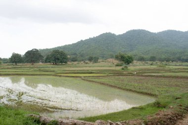 Platodaki tarlalar bulutlu tepelerle çevrili.