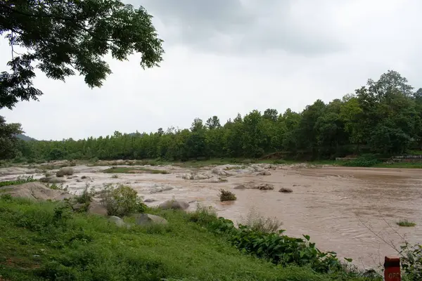 Güney Koel nehri, Jharkhand, Hindistan kıyılarında bol yeşillik ile çevrili.