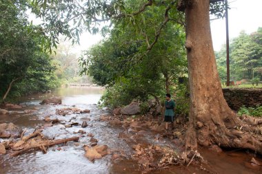 Khandadhar Doğa Parkı, Sundargarh, Odisha, Hindistan - 14 Ekim 2024: Parkın içindeki ormanla derede sakin su akışı