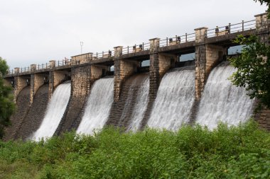 water releases from flood gate of topchachi dam with abundant green surrounding, jharkhand, india clipart