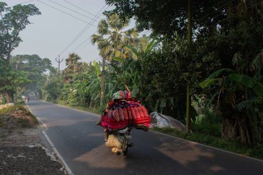 Jagulgachi, Erenda, Batı Bengal, Hindistan - Kasım 03, 2024: Aşırı yüklenmiş malların köy yolunda bir mortorsiklet üzerinde taşınması