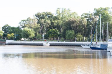 Darsena higueritas, nueva palmira, uruguay - Mart 16, 2025: bol yeşillikli marinadaki boş zamanlarında
