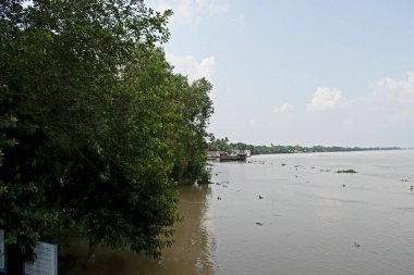 Muson gelgitinde kabaran kabarık nehrin sakin manzarası. Geniş bir uzantı, nehir kıyıları ve yeşillik.