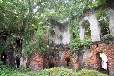 Batı Bengal, Hindistan 'daki kajlagarh rajbari' nin tarihi kalıntıları, terk edilmiş sarayın eski tuğla duvarları ve kemerli pencereleri artık ağaç kökleri, sarmaşıklar ve yeşilliklerle kaplıdır.