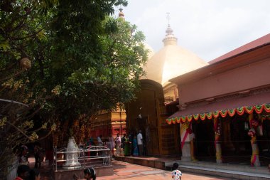 Bargabhima tapınağı, tamluk, medinipur, batı bengal, india- 11 Ağustos 2025: tarihi bargabhima tapınağının avlu manzarası, fotoğraf altın kubbeleri, dekore edilmiş tapınak yapıları, kutsal ağaçlar ve dindarları gösteriyor.