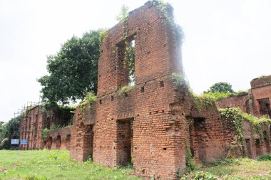 Tamluk Rajbari 'nin tarihi kalıntıları, Batı Bengal, Hindistan' da eski bir tuğla sarayı, yıpranmış duvarlar ve bitkilerin aşırı büyümüş olması kültür mirası, tarih ve kültürel anıtların geri kazanılmasını ön plana çıkarıyor.