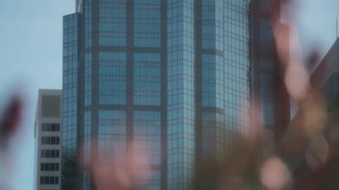 Yansıtıcı cam cepheli, rüzgarda sallanan çiçeklerle dolu yüksek katlı bir binanın önünde. Yavaş çekim. 