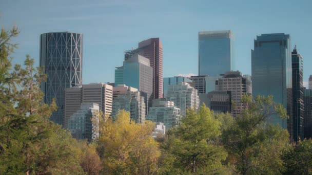 Calgary Innenstadt Herbst Blick Auf Hochhäuser Aus Dem Park Zeitlupe — Stockvideo